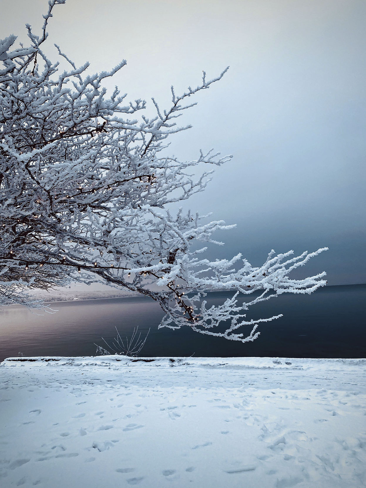 Winter lights